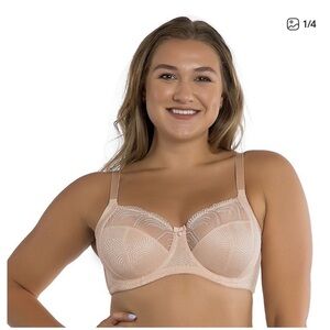Delicate Lace Women's Bra in Soft Pink